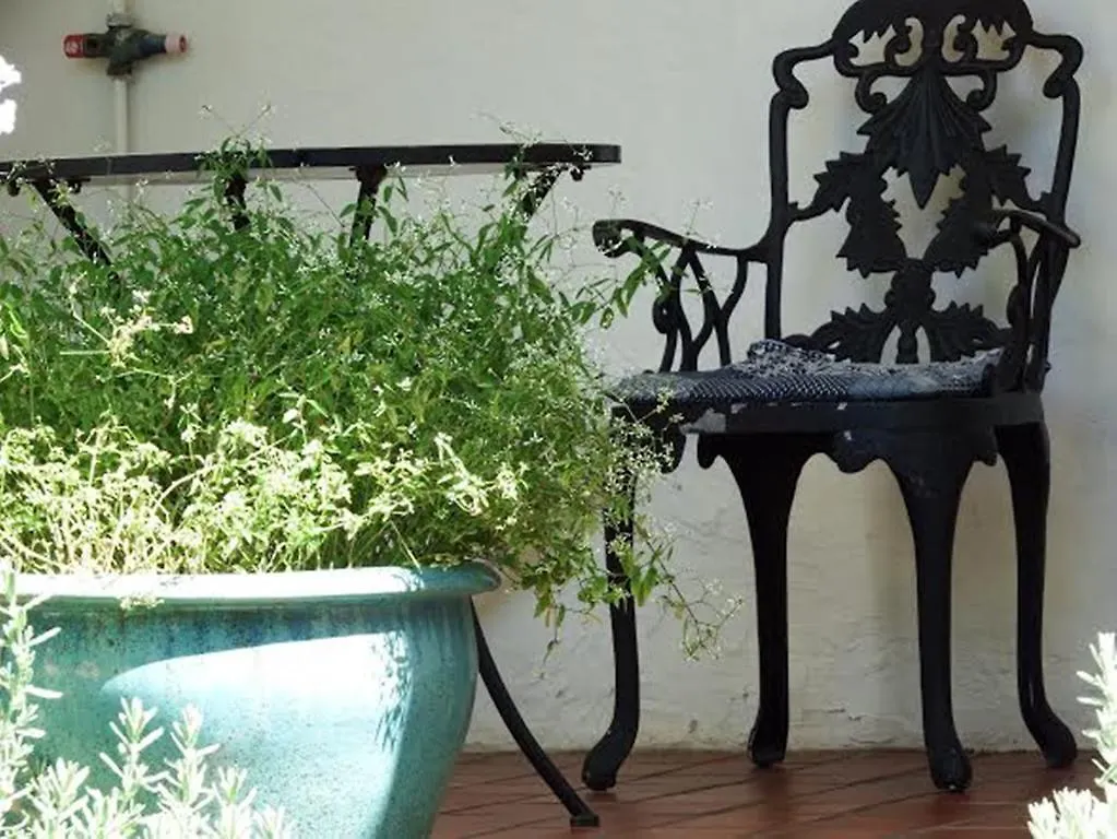 Belvedere Cottages Port Elizabeth Bed & Breakfast